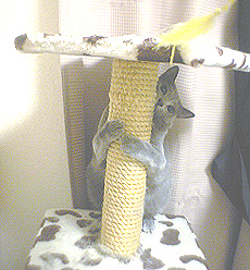 f0140271_1202457.jpg