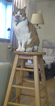 f0140271_1212671.jpg