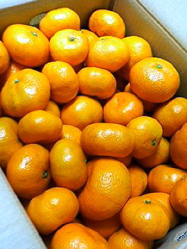 f0054677_8284468.jpg