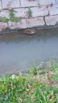 c0107180_18382893.jpg