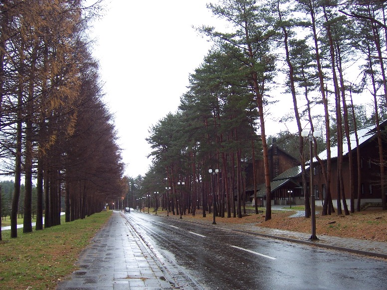 c0198781_13575352.jpg