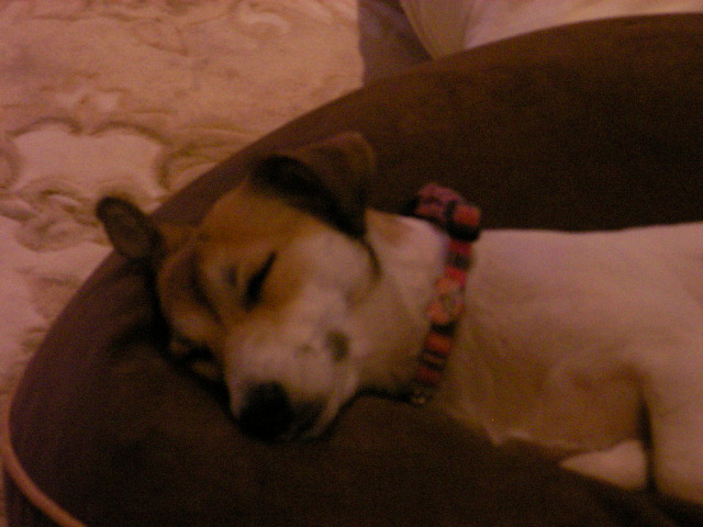 c0214384_17271889.jpg