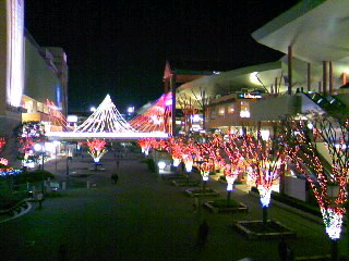 a0103293_21114253.jpg