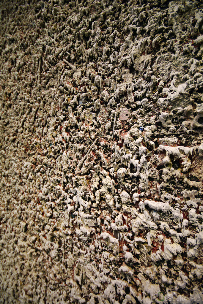 c0080101_9381694.jpg