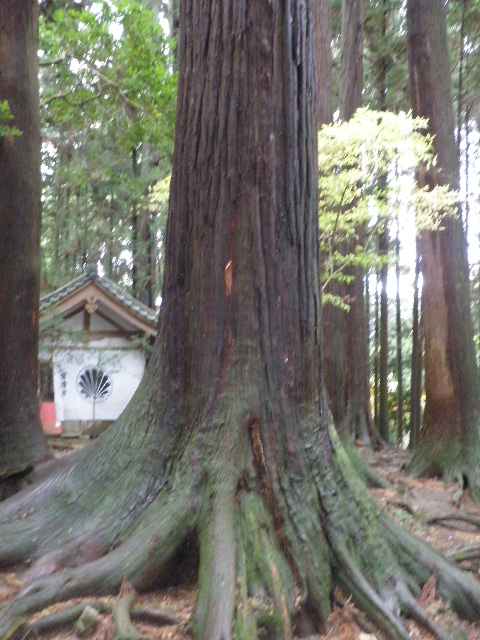 f0198306_12322250.jpg