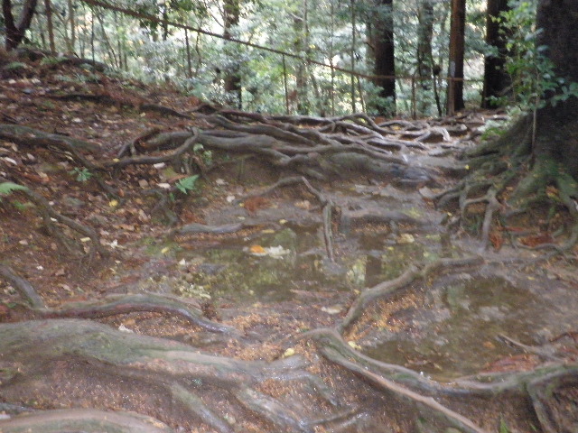 f0198306_12333846.jpg