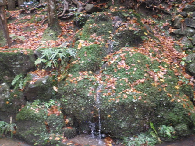 f0198306_12504252.jpg