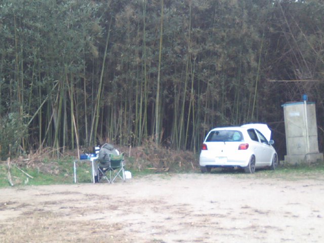 d0070007_16433567.jpg