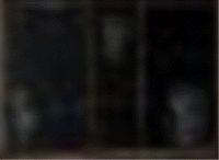 e0103408_1359580.gif