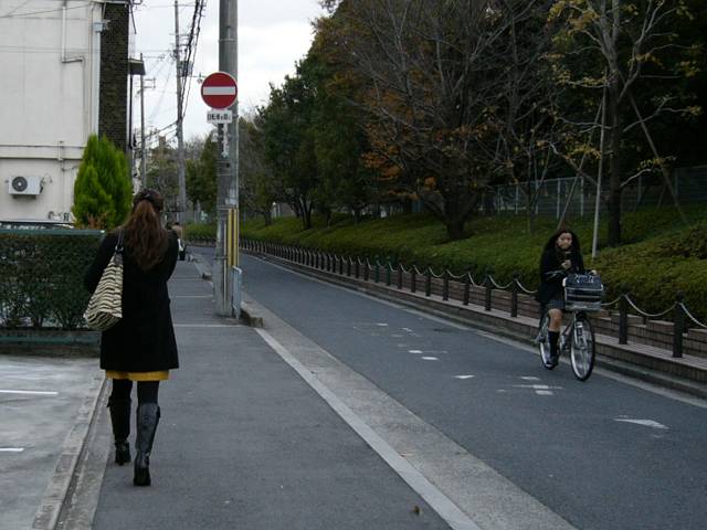 f0167310_205057.jpg