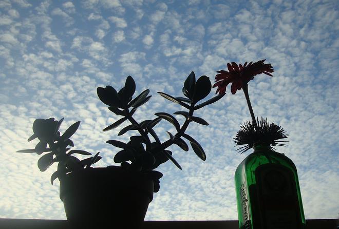c0224616_841794.jpg