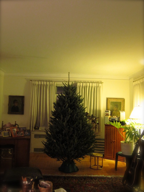 c0120817_22195727.jpg
