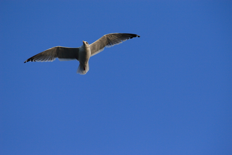 f0031423_8402781.jpg