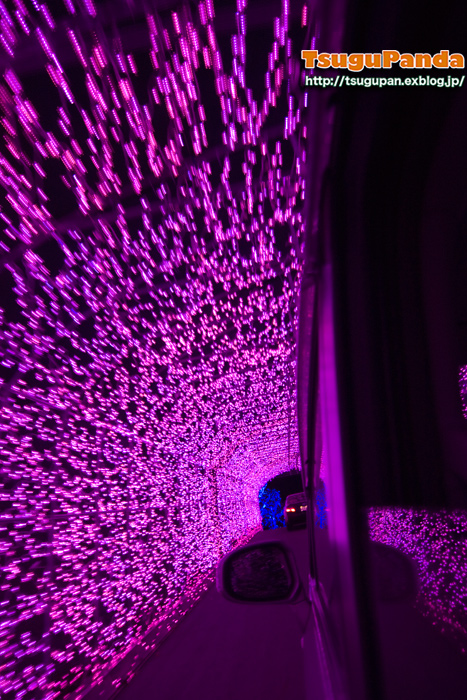 f0153628_036587.jpg