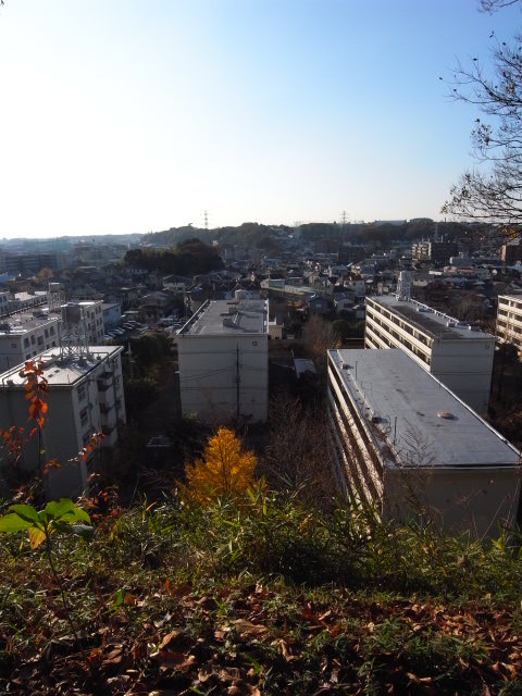 a0087341_129166.jpg