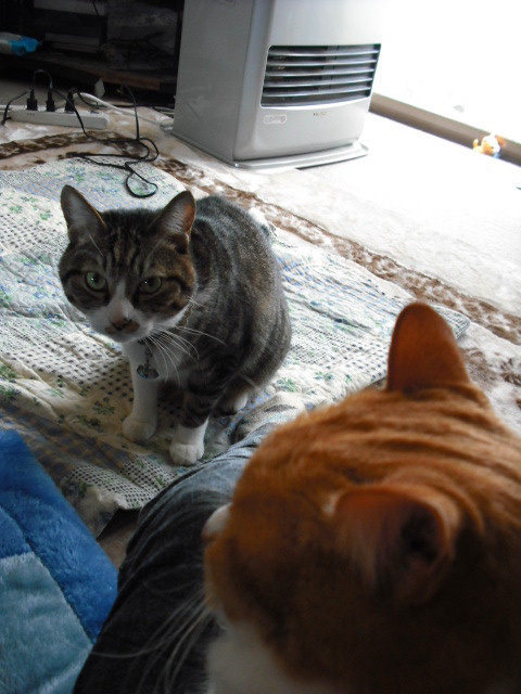 c0194042_21522314.jpg