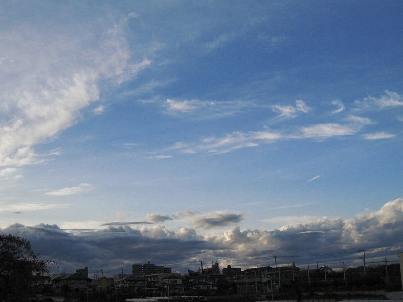 b0097747_2381938.jpg