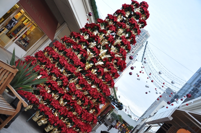 b0179447_1116332.jpg