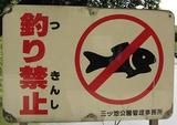 kinshi.JPG