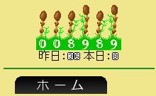 8989.jpg