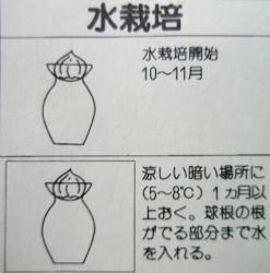 mizusaihou.jpg