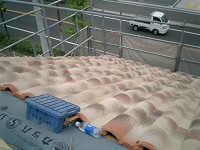 e0175148_2034192.jpg