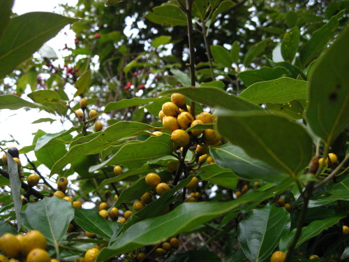 c0179351_21582289.jpg