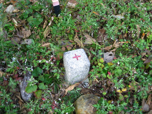 c0179351_22101011.jpg