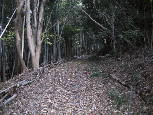 c0179351_22113399.jpg