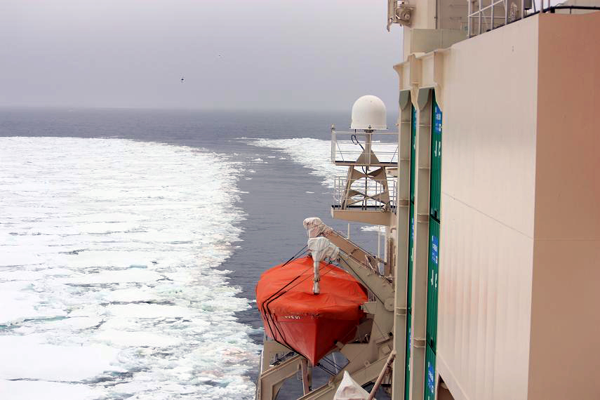 e0151758_17535241.jpg