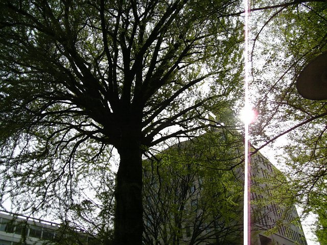 c0119160_211147.jpg