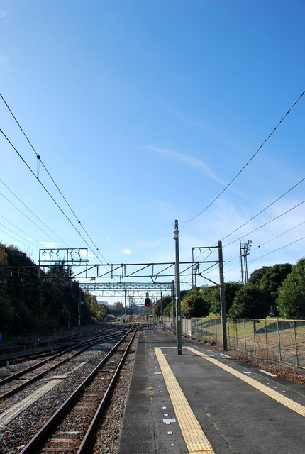 b0174068_2319556.jpg