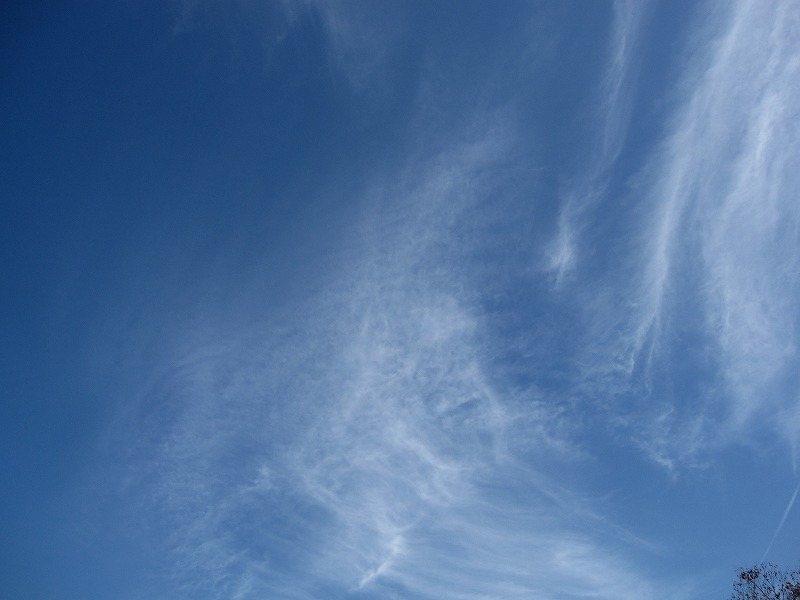 a0104569_22143213.jpg