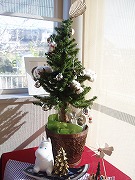 b0133870_22501166.jpg