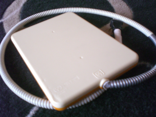 d0134977_8593189.jpg