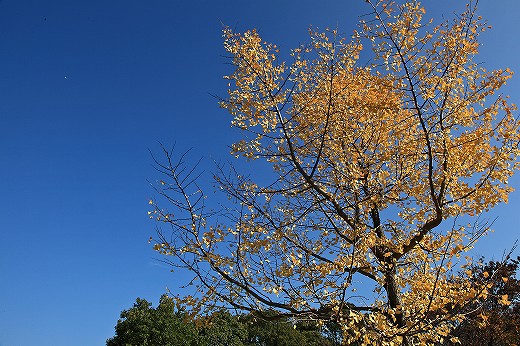 e0190885_18183574.jpg