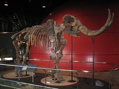 c0196701_22482556.jpg