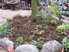 c0196701_23141488.jpg