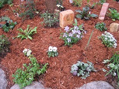 c0196701_2317356.jpg