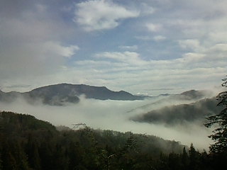 c0126205_894840.jpg