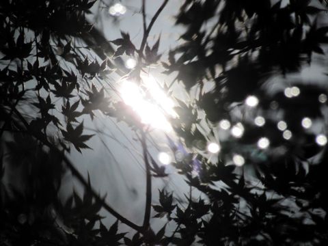 b0051109_15371655.jpg