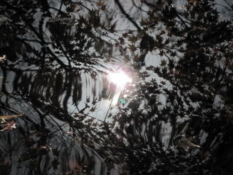 b0051109_15393190.jpg