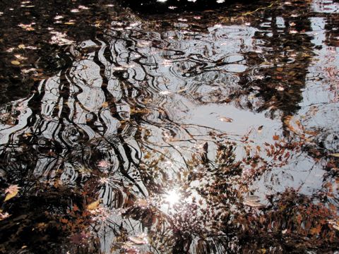 b0051109_15403761.jpg