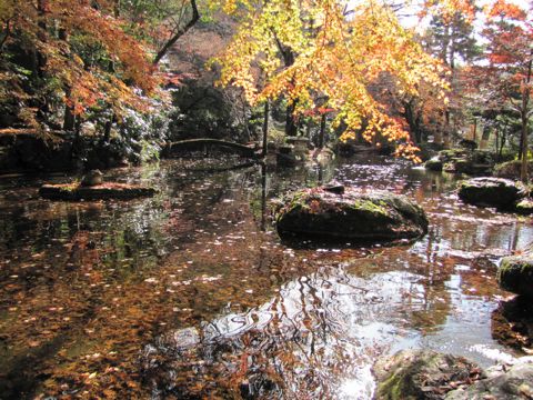 b0051109_15415540.jpg