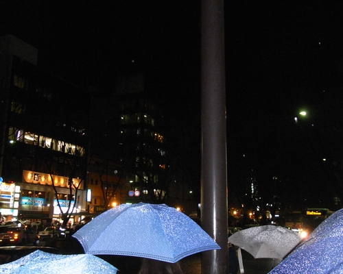 f0006510_1125983.jpg