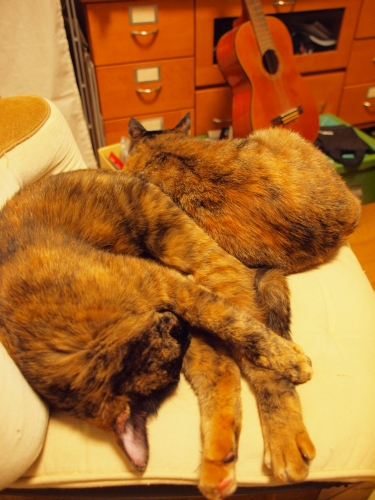 c0136217_0314735.jpg