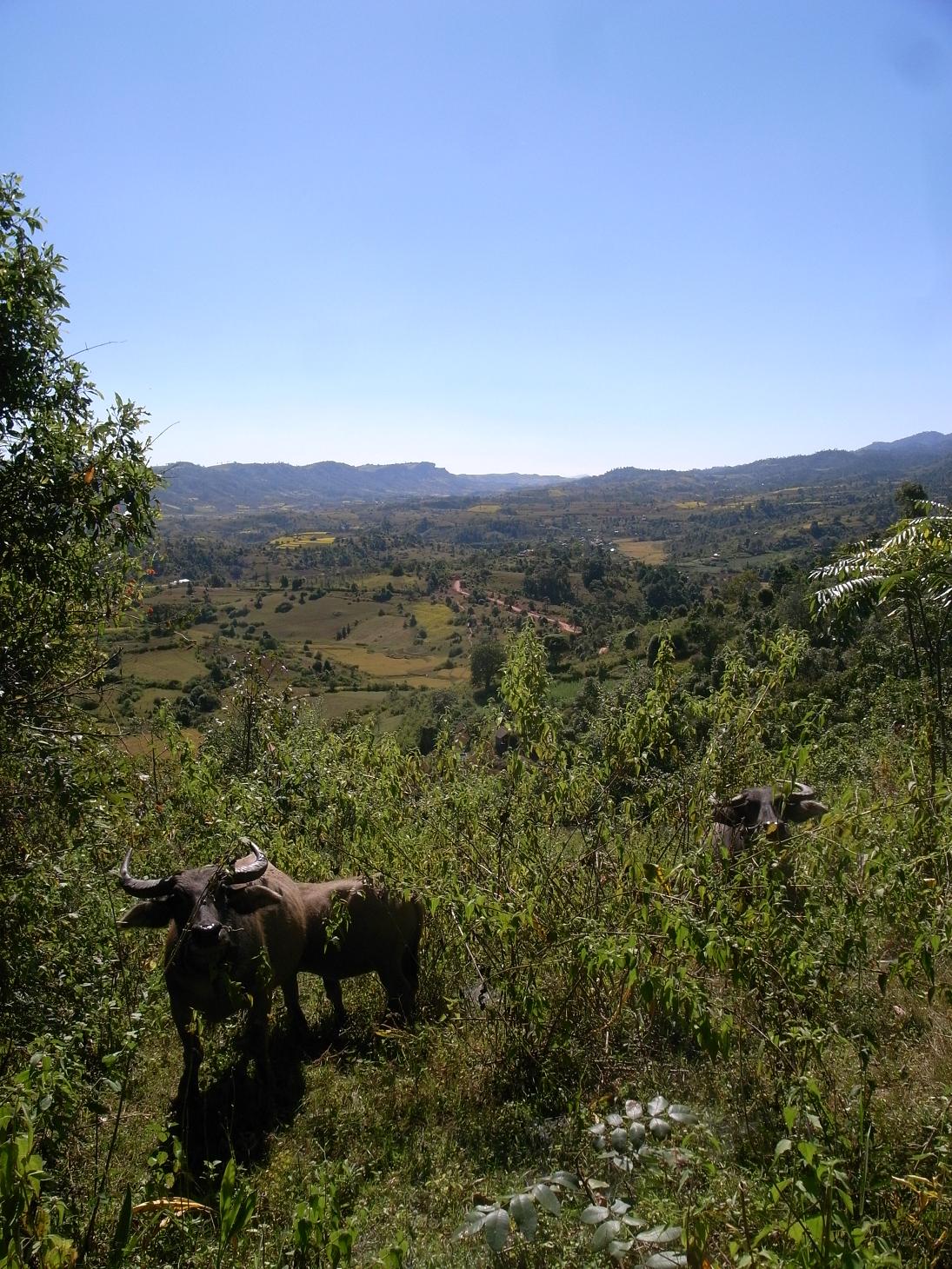 f0116817_11432591.jpg
