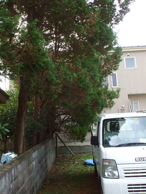 b0096418_17572959.jpg