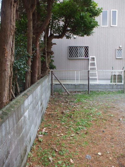 b0096418_17574280.jpg