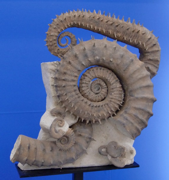 d0018424_1826272.jpg